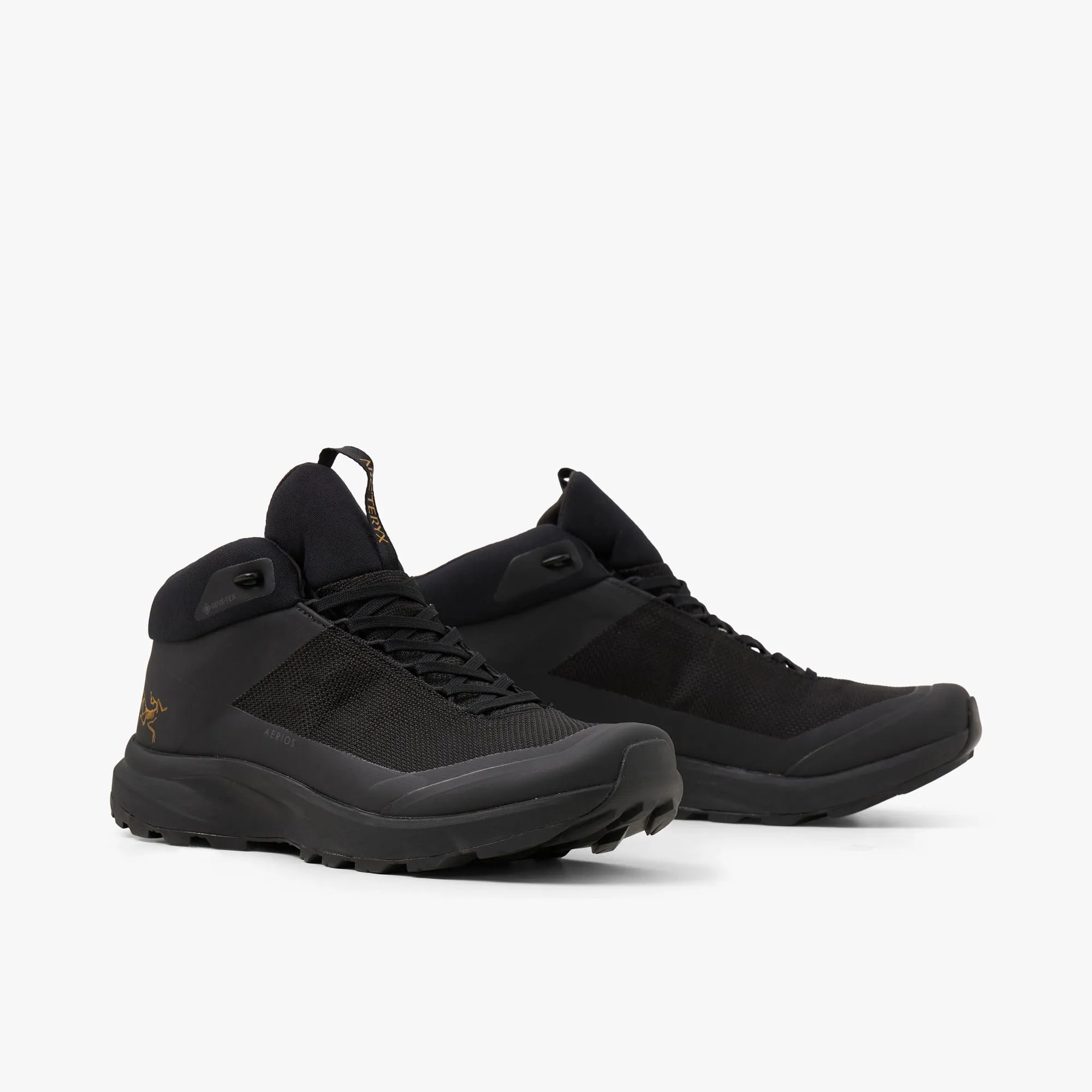 Arc'teryx Aerios FL 2 Mid GORE-TEX Black / Black