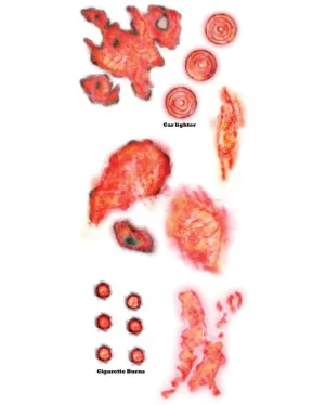 Burned Alive FX Temporary Tattoo