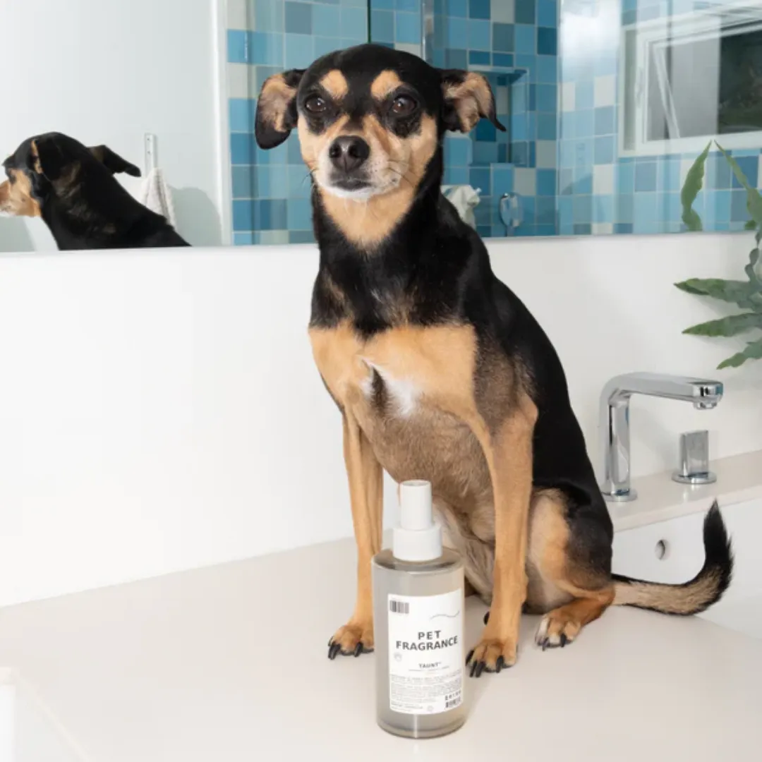 DedCool Pet Fragrance 01 "Taunt"