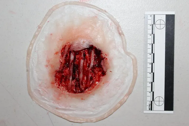 Exposed Hand Ligaments Prosthetic