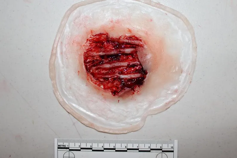 Exposed Hand Ligaments Prosthetic