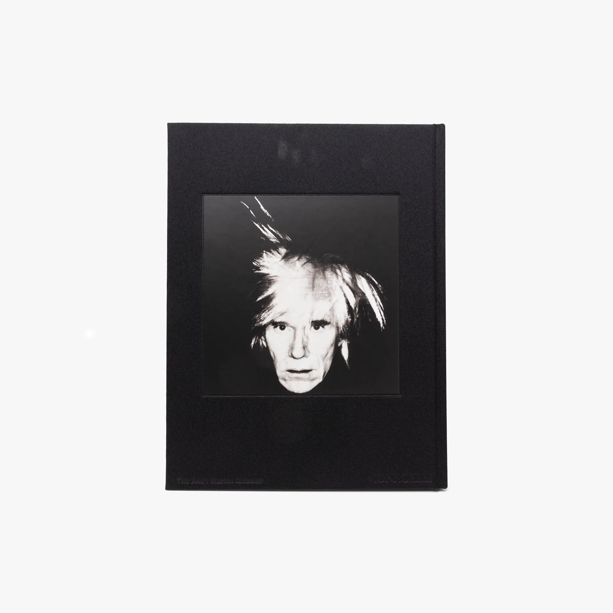 KAWS   Warhol