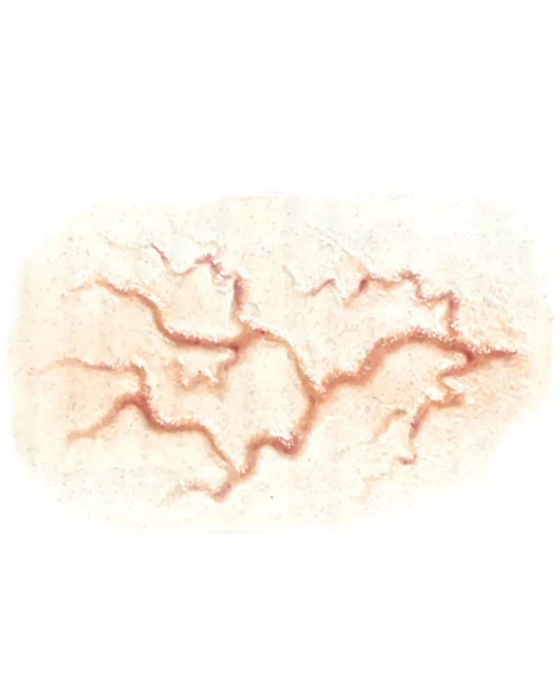 Large Veins FX Transfer