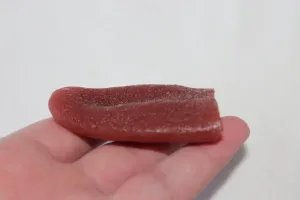 Severed Tongue Prop