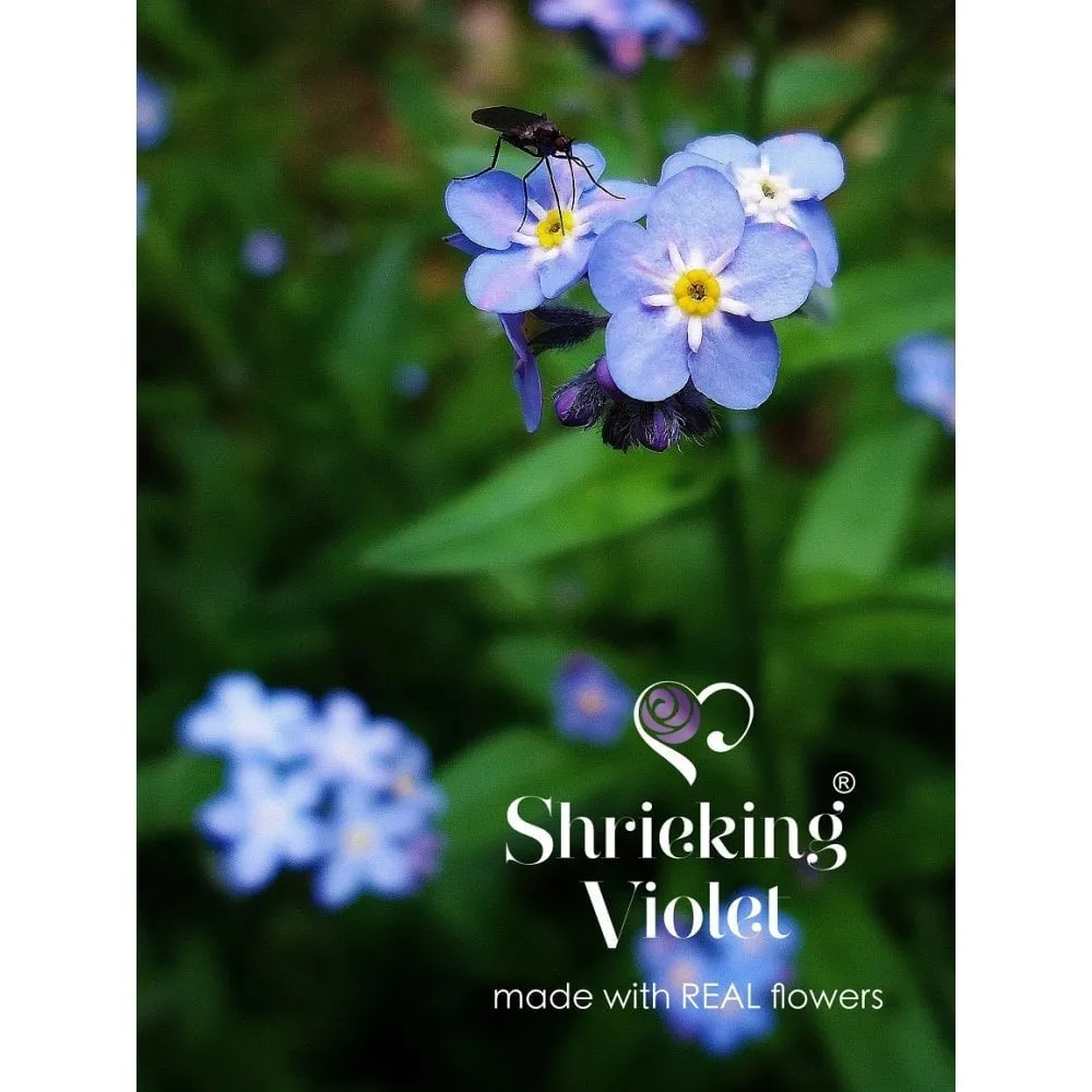 Shrieking Violet Real Flower Forget Me Not Heart Stud Earrings FE15