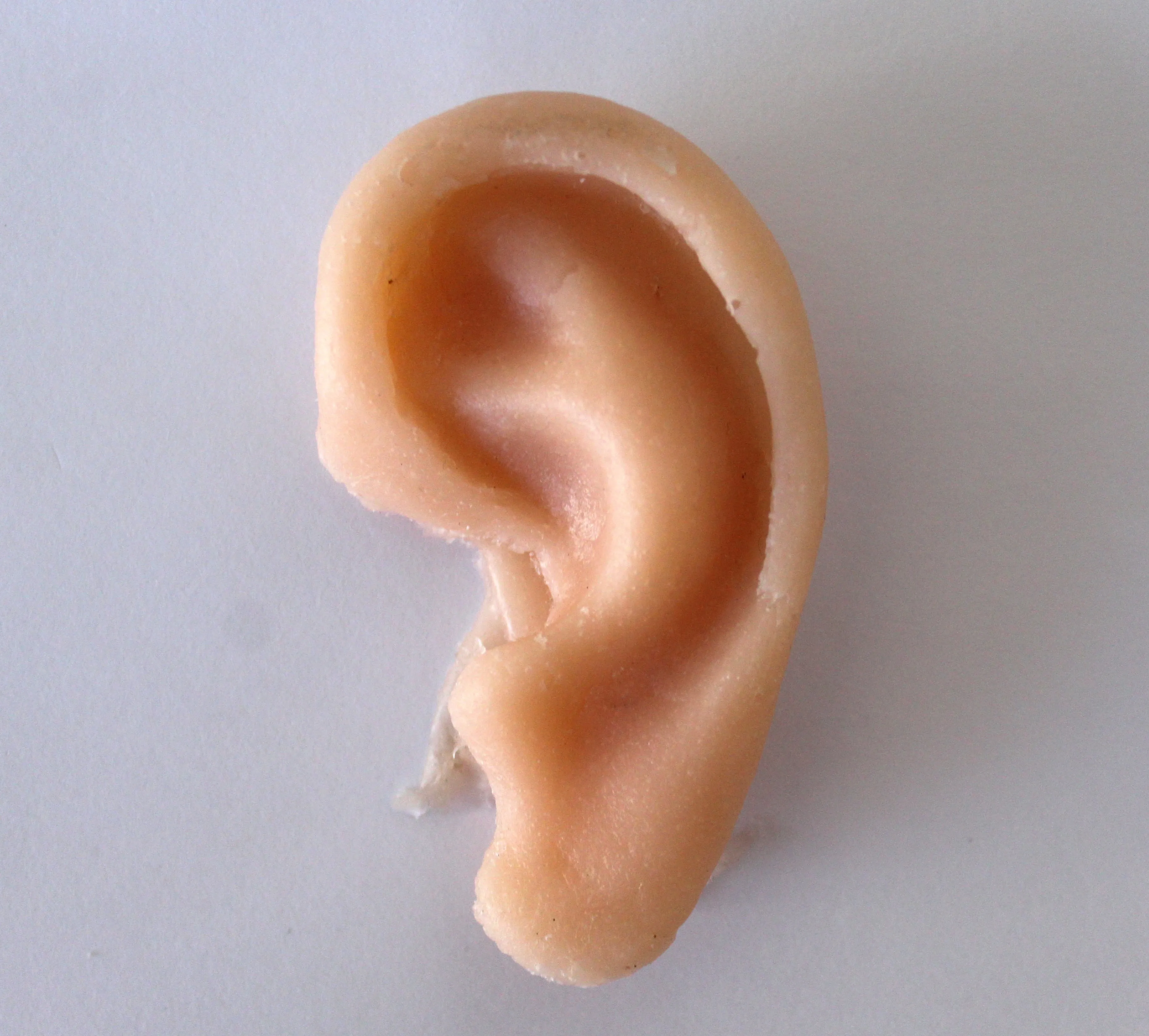 Unpainted Ear Prop